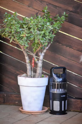 Lund elektromos rovarcsapda ventilátorral, UV-A 15W